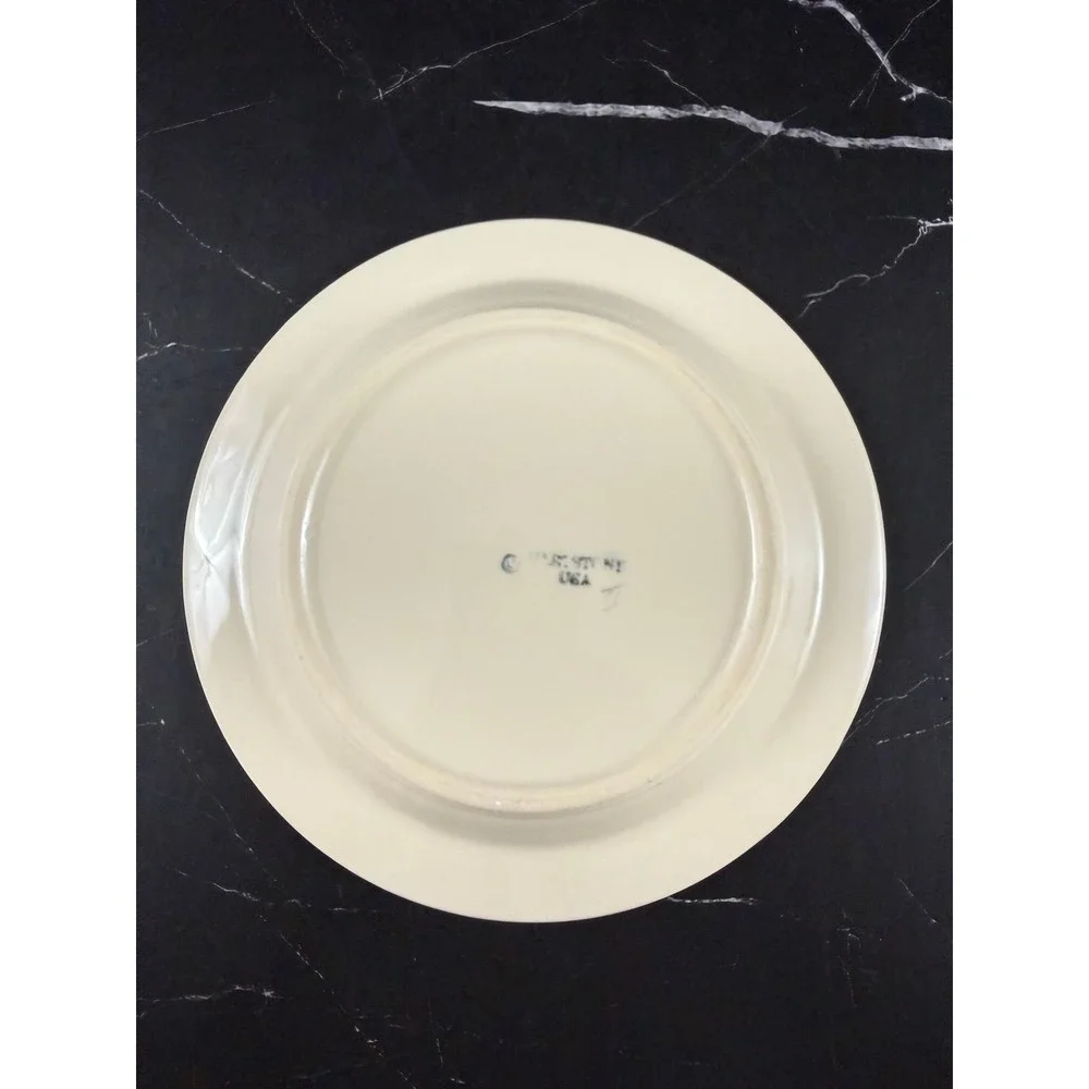 VTG Hartstone USA Texas Proud 7 7/8in Red Stripe Blue Stars Salad Plate MINT!